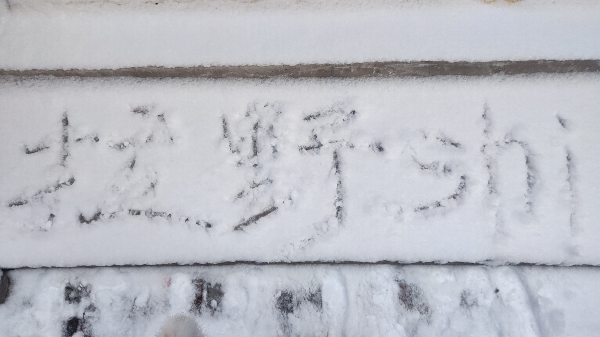 【拉野shi】或许这就是雪中美女吧。